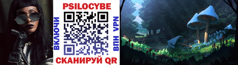 Галлюциногенные грибы Psilocybe  hydra   Видное 