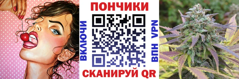 Бошки марихуана планчик Видное